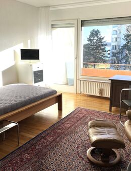 Ein-Raum-Apartment, modern möbliert, hell und freundlich, Koblenz-Karthause - Koblenz