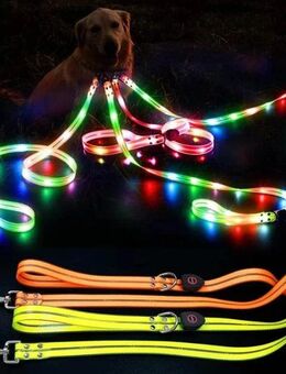 Hundeleine + Halsband leuchtend LED Leine Leuchtleine Hund Hundeleine USB - Oldenburg