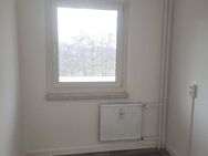 2-Raum-Wohnung im schönen Rodleben - Dessau-Roßlau