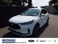 Ford Kuga, 2.5 Plug-In Hybrid ST-Line Duratec EU6d digitales, Jahr 2024 - Gelsenkirchen