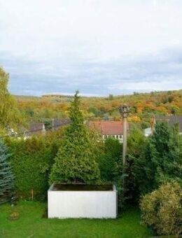 Riegelsberg 1. OG 52m² 2ZKB Zentral Nähe Markt zu vermieten - Riegelsberg