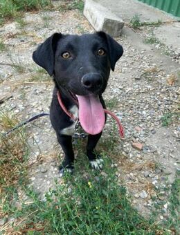 Lucy - kleine Abenteurerin - Berlin