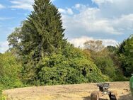 Ihre 4 Wände im Bau - bald ins Grüne schauen - Bochum