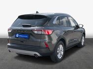 Ford Kuga 2.0 EcoBlue Aut. TITANIUM X 88 kW, 5-türig (Diesel) - Magdeburg