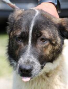 Kyrana - unkompliziert u. kinderlieb - Lohra