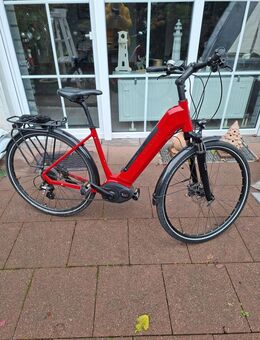 Kalkhoff E-Bike - Bonn