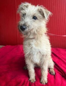 süße kleine MADDIE - Mamming