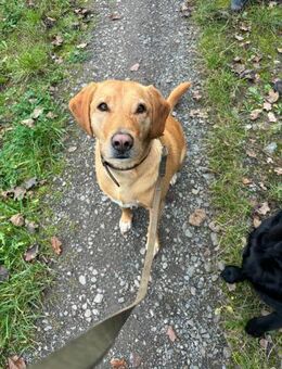 Milo - Lorsch (Karolingerstadt)