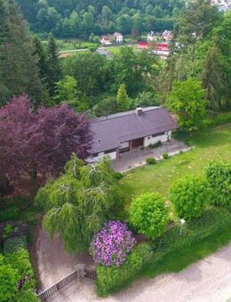 Provisionsfrei für den Käufer: 5 - Zimmer – Einfamilienhaus in charmante Alleinlage in Bad Karlshafen - Bad Karlshafen