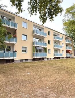 Weiträumige, umfassend sanierte Singlewohnung im beliebten Schüren - Dortmund