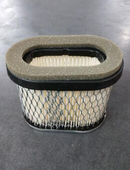 Luftfilter 692446 Briggs & Strattion neu OVP - Gedern Zentrum