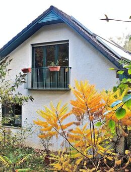 OHNE KÄUFERPROVISION: 1-2 Familienhaus in Schwarmstedt - Schwarmstedt