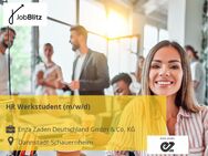 HR Werkstudent (m/w/d) - Dannstadt-Schauernheim