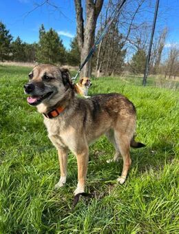 Naila❤️sucht ihr Traum-Zuhause - Rott (Inn)