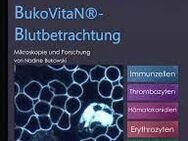 Dunkelfeldmikroskopie Vitalblutanalyse Blutbetrachtung BukVitaN - Grafenrheinfeld