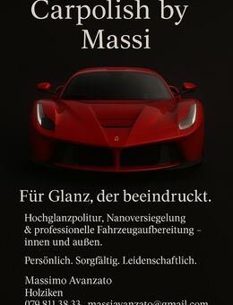 Ich bringe ihr Auto zum glänzen - Holziken
