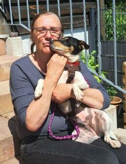 Jack Russel Fan`s aufgepasst: PIXIE :-) - Meinerzhagen