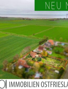 Einen Steinwurf vom Deich: Teilmodernisiertes Einfamilienhaus mit Nebengebäude auf weitläufigem Grundstück - Krummhörn