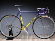 Pinarello Treviso Rennrad, Rahmenhöhe 53 cm, Shimano 600, Columbus SL Rahmen, toller Rahmen aus italienischer Prestigeschmiede, komplett überholt - Varel