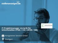 IT-Projektmanager (m/w/d) für Schnittstellen HTML / CSS / JSON / XML - Stuttgart
