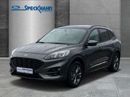 Ford Kuga ST-Line X 2.5 PHEV Panodach Kamera vo /hi el. Heckklappe - Celle