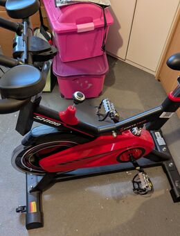 Sportstech SX100 - Kolitzheim