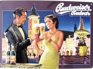 Budweiser Brauerei - Blechschild 30 x 20 cm - Paar in Budweis - Sonderedition Nr.4 - Doberschütz