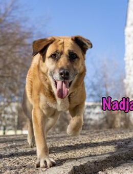 Nadja entspannt, lieb und gehorsam 01/17 - Ruppertsecken