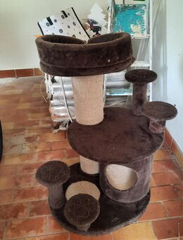Kratzbaum für Main coon - Zeulenroda-Triebes