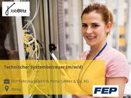 Technischer Systembetreuer (m/w/d) - Pirna