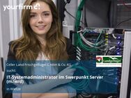 IT-Systemadministrator im Swerpunkt Server (m/w/d) - Wietze