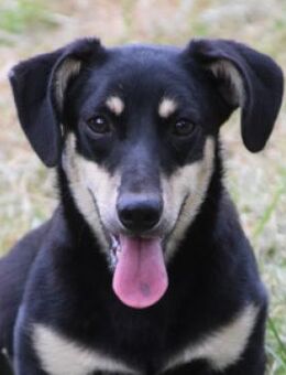 Esther - lustig und lebensfroh - Lohmar