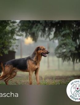 Akascha: Möchte endlich nach Hause! - Kirchzell