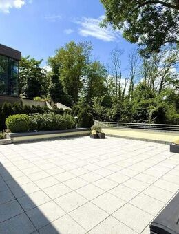 Halle-Giebichenstein: Wohnen bis zum hohen Alter, mit Aufzug, Hoch-Terrasse & Saaleblick - Halle (Saale)