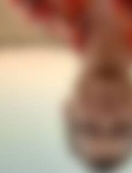 And*** - Naumburg (Saale)