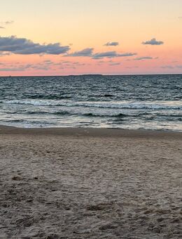 Suche dich :-) - Zwickau Zentrum