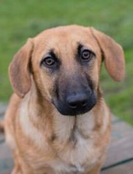 264811 - klein und fröhlich bin ich - Overath