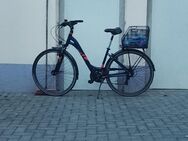 Damen Bike 28er Ramon Touring 1 - Bitterfeld-Wolfen Bitterfeld