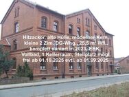 Hitzacker, kleine 2 Zimmer Dachgeschosswohnung ideal für Singles oder als Zweitwohnung - Hitzacker (Elbe)