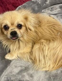 Jonas ♥️ aufgeschlossener kleiner Mann - Velbert