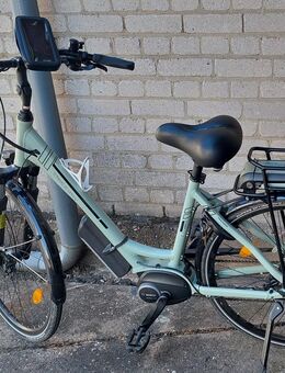 Triumph e-bike - Ludwigshafen (Rhein)