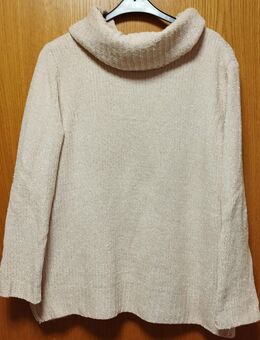 Glitzer Pullover "NALA" Rollkragen Langarm Farbe Lachs Gr. 46 - Kerken
