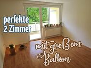 Wunderschöne 2-Zimmer-Wohnung mit Aufzug und großem Balkon zum Stadtpark! 1 Monat KM-frei bis 30.06.2025! - Chemnitz