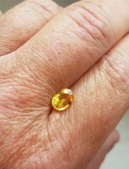 1, 40 ct - AUGENREIN , CANARY YELLOW, Ceylon - SAPHIR - Neubrandenburg