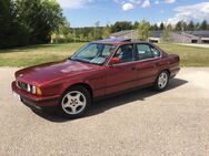 Oldtimer BMW E34 525i, BJ 1991, 147.000 KM, 192 PS, sehr guter Originalzustand - Thalmassing
