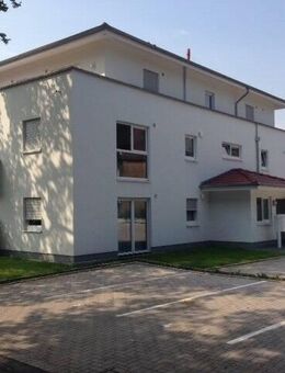 Barrierefrei in Löhne: gepflegte 2-Zimmer-Erdgeschosswohnung mit Terrasse und Einbauküche in optimaler Wohnlage in Löhne - Löhne