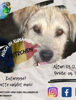 FRITZCHEN-möchte sein Köfferchen packen - Waakirchen