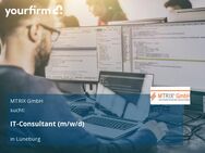 IT-Consultant (m/w/d) - Lüneburg