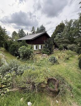 Autarkes Ferienhaus direkt am Wald - Radebeul