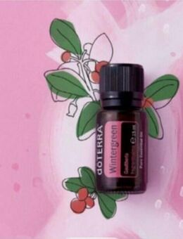 WINTERGREEN - ätherisches ÖL von doTerra / Neu / 35,00 € + Versandkosten - Fürth